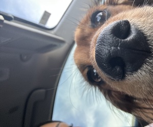 Alyssa san nicolas cruz